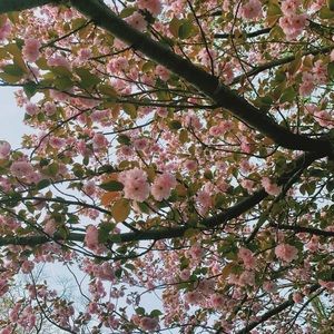 Meet your Posher, Arusha